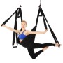 6 hanterar kroppsbyggande handstand inelasticity Aerial Yoga Hammock (svart)