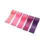 5 in 1 Strength Gradient Latex Elastic Ring Resistance Band Set(Purple gradient five pieces)