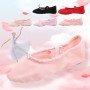 Chaussures de chats de chat en tissu doux pour adultes chaussures de danse chaussures de yoga, une paire, taille: 30 mètres (rose)