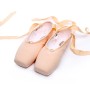 Ballet Lace Pointe Shoes Professional Flat Dance Shoes, Size: 33(Canvas)