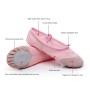2 Pairs Flats Soft Ballet Shoes Latin Yoga Dance Sport Shoes for Children & Adult(White)